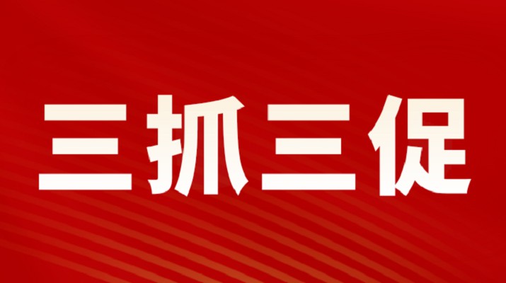 三抓三促进行时丨365英国在线体育集团召开重点项目调度会