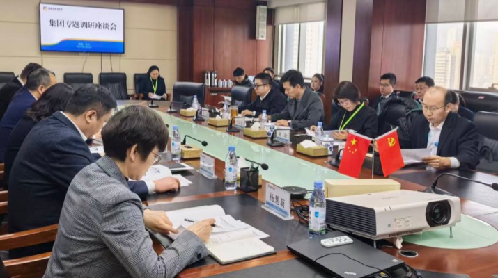 365英国在线体育集团党委书记、董事长叶剑芳深入各子公司走访调研