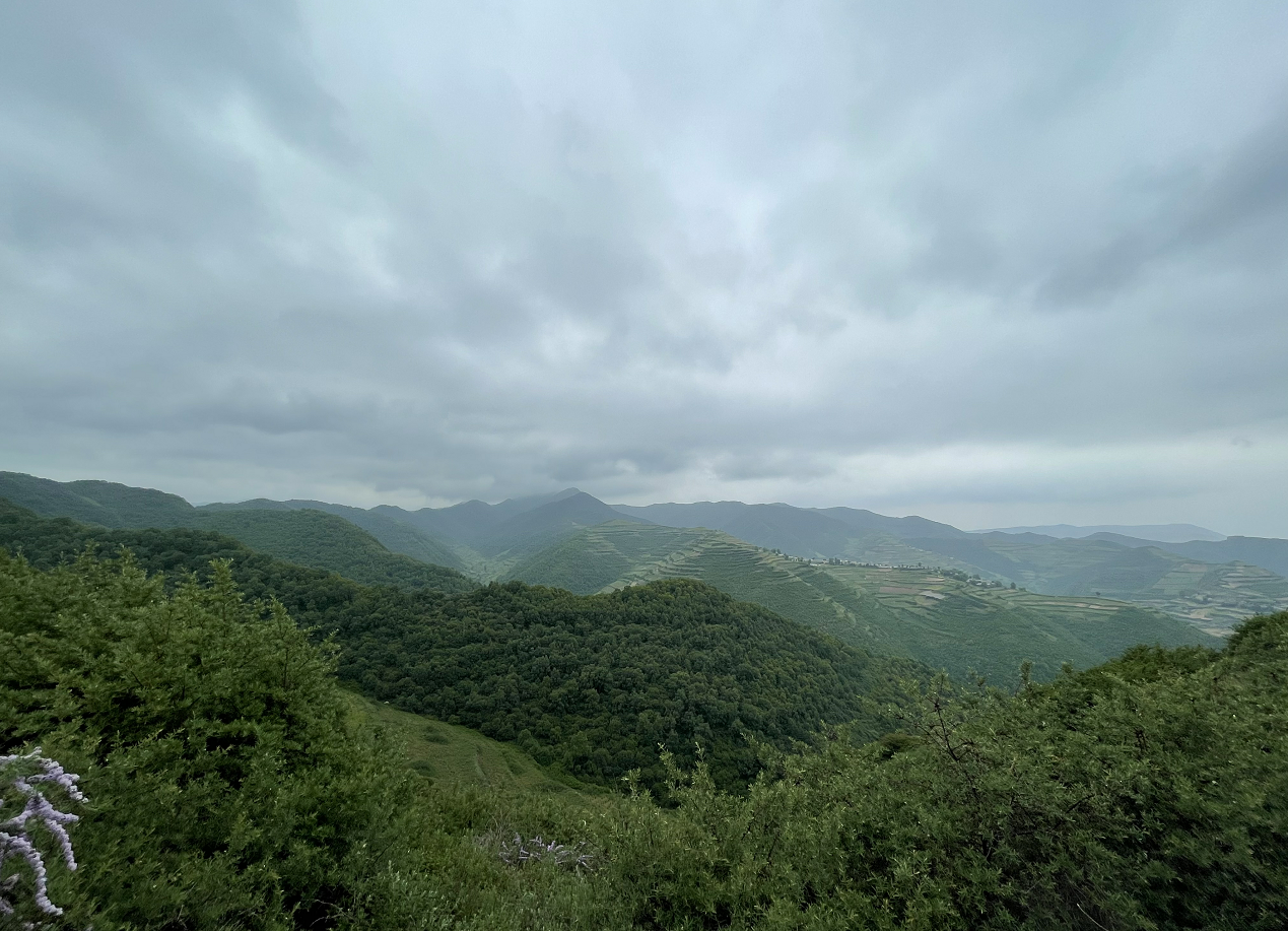 微信截图_20210820094810.png 微信截图_20210820094810.png